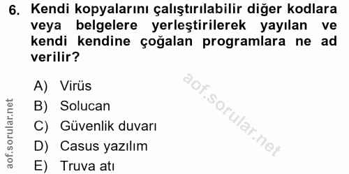 6. soru: Kendi kopyalarını çalıştırılabilir diğer kodlara veya belgelere yerleştirilerek yayılan ve kendi kendine çoğalan prog…