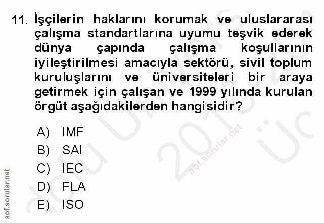 11. soru: Işçilerin haklarını korumak ve uluslararası çalışma standartlarına uyumu teşvik ederek dünya çapında çalışma koşullar…