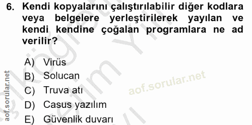 6. soru: Kendi kopyalarını çalıştırılabilir diğer kodlara veya belgelere yerleştirilerek yayılan ve kendi kendine çoğalan prog…