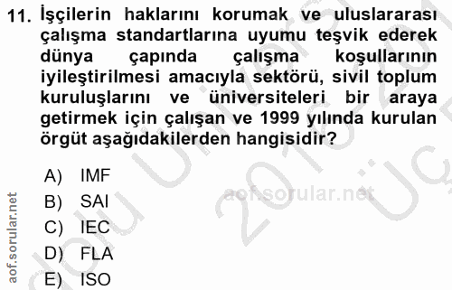 11. soru: İşçilerin haklarını korumak ve uluslararası çalışma standartlarına uyumu teşvik ederek dünya çapında çalışma m m koşu…