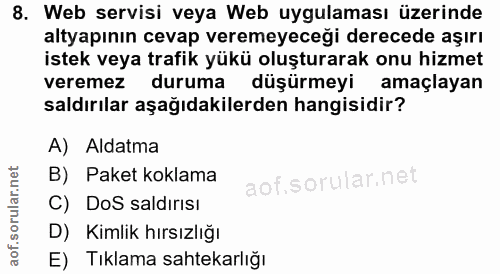 8. soru: Web servisi veya Web uygulaması üzerinde altyapının cevap veremeyeceği derecede aşırı istek veya trafik yükü oluştura…
