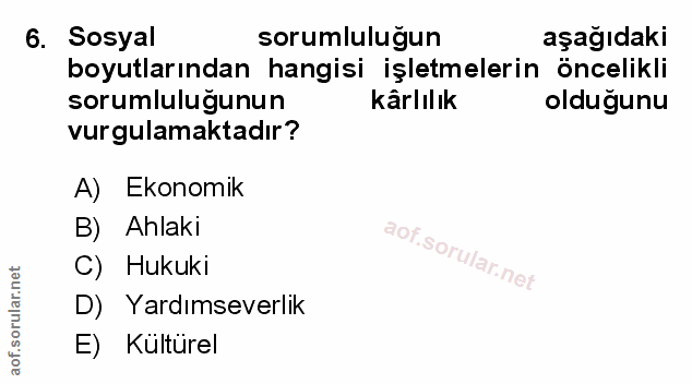 6. soru: Sosyal sorumluluğun aşağıdaki boyutlarından hangisi işletmelerin öncelikli sorumluluğunun kârlılık olduğunu vurgulama…