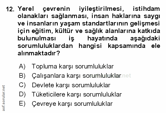 12. soru: Yerel çevrenin iyileştirilmesi, istihdam olanakları saglanması, insan haklarına saygı ve insanların yaşam standartlar…