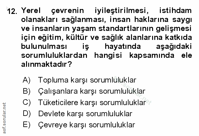 12. soru: Yerel çevrenin iyileştirilmesi, istihdam olanakları sağlanması, insan haklarına saygı ve insanların yaşam standartlar…