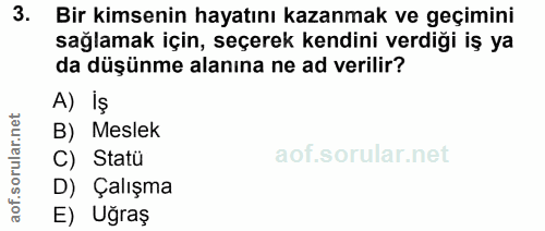 3. soru: Bir kimsenin hayatını kazanmak ve geçimini sağlamak için, seçerek kendini verdiği iş ya da düşünme alanına ne ad veri…
