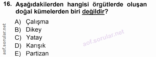 16. soru: Aşağıdakilerden hangisi örgütlerde oluşan doğal kümelerden biri değildir? A) Çalışma B) Dikey C) Yatay D) Karışık E)…