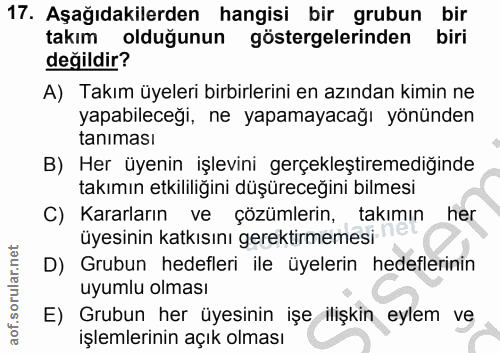 17. soru: Aşağıdakilerden hangisi bir grubun bir takım olduğunun göstergelerinden biri değildir? A) Takım üyeleri birbirlerini…