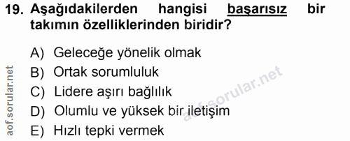 19. soru: Aşağıdakilerden hangisi basarısız bir takımın özelliklerinden biridir? A) Geleceğe yönelik olmak B) Ortak sorumluluk…