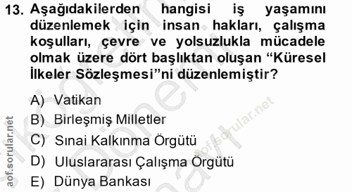 13. soru: Aşağıdakilerden hangisi iş yaşamını düzenlemek için insan hakları, çalışma koşulları, çevre ve yolsuzlukla mücadele o…