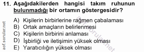 11. soru: Aşağıdakilerden hangisi takım ruhunun bulunmadığı bir ortamın göstergesidir? A) Kişilerin birbirlerine rağmen çabalam…
