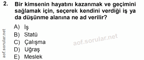 2. soru: Bir kimsenin hayatını kazanmak ve geçimini sağlamak için, seçerek kendini verdiği iş ya da düşünme alanına ne ad veri…