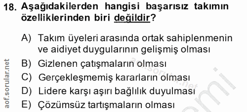 18. soru: Aşağıdakilerden hangisi başarısız takımın özelliklerinden biri değildir? A) Takım üyeleri arasında ortak sahiplenmeni…