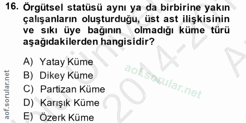16. soru: Örgütsel statüsü aynı ya da birbirine yakın çalışanların oluşturduğu, üst ast ilişkisinin ve sıkı üye bağının olmadığ…