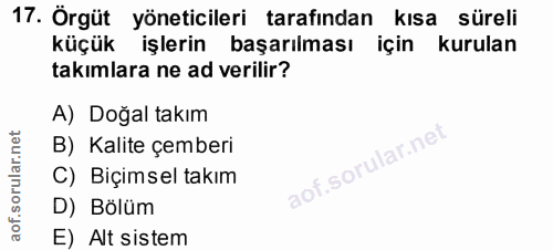 17. soru: Örgüt yöneticileri tarafından kısa süreli küçük işlerin başarılması için kurulan takımlara ne ad verilir? A) Doğal ta…