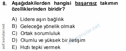 8. soru: Aşağıdakilerden hangisi başarısız takımın özelliklerinden biridir? A) Lidere aşırı bağlılık B) Geleceğe yönelik olmak…