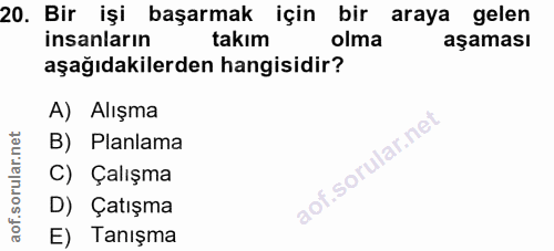 20. soru: Bir işi başarmak için bir araya gelen insanların takım olma aşaması aşağıdakilerden hangisidir? A) Alışma B) Planlama…
