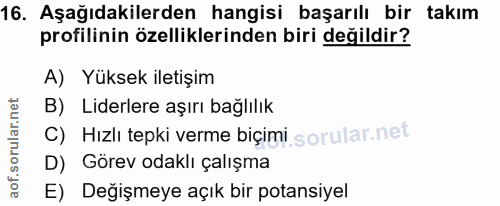 16. soru: Aşağıdakilerden hangisi başarılı bir takım profilinin özelliklerinden biri değildir? A) Yuksek iletişim B) Liderlere…