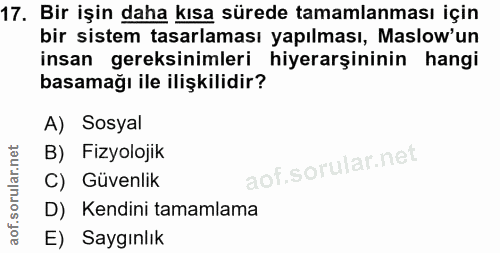 17. soru: Bir işin daha kısa sürede tamamlanması için bir sistem tasarlaması yapılması, Maslow'un insan gereksinimleri hiyerarş…