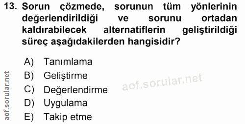 13. soru: Sorun çözmede, sorunun tüm yönlerinin yönlerinin değerlendirildiği ve sorunu ortadan kaldırabilecek alternatiflerin g…