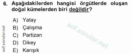 6. soru: Aşağıdakilerden hangisi örgütlerde oluşan doğal kümelerden biri değildir? A) Yatay B) Çalışma C) Partizan D) Dikey E)…