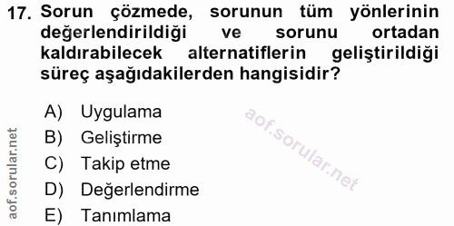 17. soru: Sorun çözmede, sorunun tüm yönlerinin değerlendirildiği ve sorunu ortadan kaldırabilecek alternatiflerin geliştirildi…