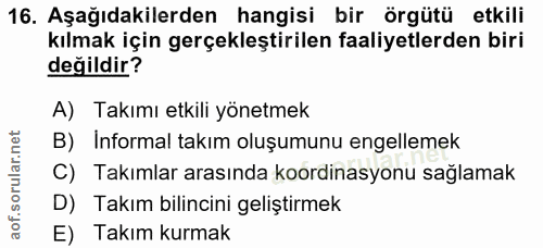 16. soru: Aşağıdakilerden hangisi bir örgütü etkili kılmak için gerçekleştirilen faaliyetlerden biri değildir? A) Takımı etkili…