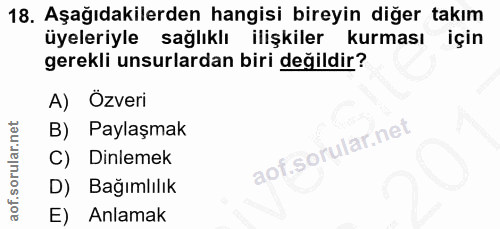 18. soru: Aşağıdakilerden hangisi bireyin diğer takım üyeleriyle sağlıklı ilişkiler kurması için gerekli unsurlardan biri değil…
