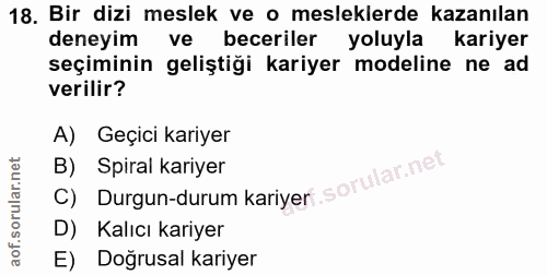 18. soru: Bir dizi meslek ve o mesleklerde kazanılan deneyim ve beceriler yoluyla kariyer seçiminin geliştiği kariyer modeline…