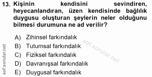 13. soru: Kişinin kendisini sevindiren, heyecanlandıran, üzen kendisinde bağlılık duygusu oluşturan şeylerin neler olduğunu bil…