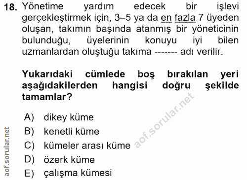 18. soru: Yönetime yardım edecek bir işlevi gerçekleştirmek için, 3-5 ya da en fazla 7 üyeden oluşan, takımın başında atanmış b…