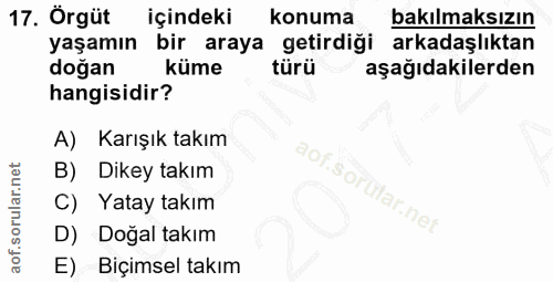 17. soru: Örgüt içindeki konuma bakılmaksızın yaşamın bir araya getirdiği arkadaşlıktan doğan küme türü aşağıdakilerden hangisi…