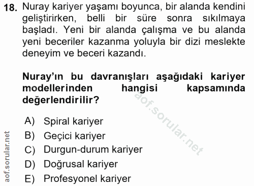 18. soru: Nuray kariyer yaşamı boyunca, bir alanda kendini geliştirirken, belli bir süre sonra sıkılmaya başladı. Yeni bir alan…