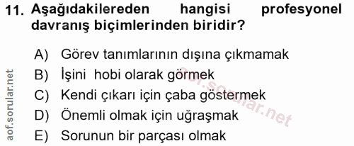 11. soru: Aşağıdakilereden hangisi profesyonel davranış biçimlerinden biridir? A) Görev tanımlarının dışına çıkmamak B) İşini h…