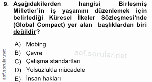 9. soru: Aşağıdakilerden hangisi Birleşmiş Milletler'in iş yaşamını düzenlemek için belirlediği Küresel İlkeler Sözleşmesi'nde…