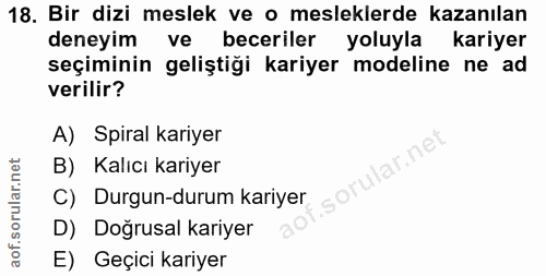 18. soru: Bir dizi meslek ve o mesleklerde kazanılan deneyim ve beceriler yoluyla kariyer seçiminin geliştiği kariyer modeline…