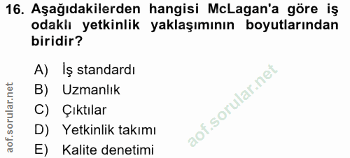 16. soru: Aşağıdakilerden hangisi McLagan'a göre iş odaklı yetkinlik yaklaşımının boyutlarından biridir? A) İş standardı B) Uzm…