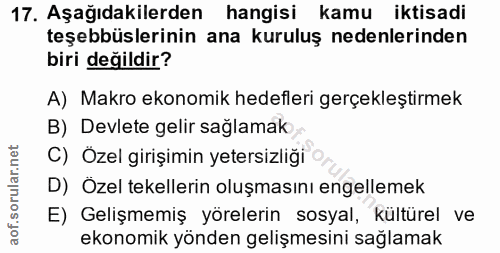 17. soru: Aşağıdakilerden hangisi kamu iktisadi teşebbüslerinin ana kuruluş nedenlerinden biri değildir? A) Makro ekonomik hede…