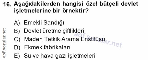 16. soru: Aşağıdakilerden hangisi özel bütçeli devlet işletmelerine bir örnektir? A) Emekli Sandığı C) Maden Tetkik Arama Ensti…