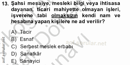 13. soru: Şahsi mesaiye, mesleki bilgi veya ihtisasa dayanan, ticari mahiyette olmayan işleri, işverene tabi olmaksızın kendi n…