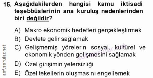 15. soru: Aşağıdakilerden hangisi kamu iktisadi teşebbüslerinin ana kuruluş nedenlerinden biri değildir? A) Makro ekonomik hede…