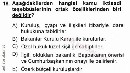 18. soru: Aşağıdakilerden hangisi kamu iktisadi teşebbüslerinin ortak özelliklerinden biri değildir? A) Kuruluş, içyapı ve iliş…