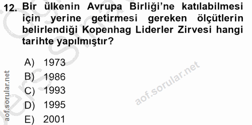 12. soru: Bir ülkenin Avrupa Birliği'ne katılabilmesi için yerine getirmesi gereken ölçütlerin belirlendiği Kopenhag Liderler Z…