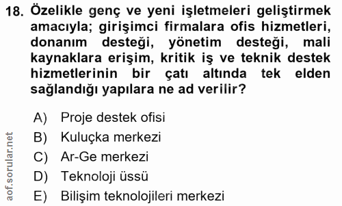 18. soru: Özelikle genç ve yeni işletmeleri geliştirmek amacıyla; girişimci firmalara ofis hizmetleri, donanım • desteği, yönet…