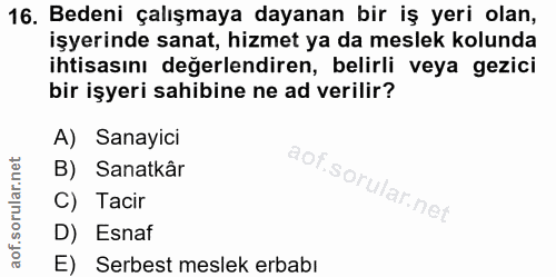 16. soru: Bedeni çalışmaya dayanan bir iş yeri olan, işyerinde sanat, hizmet ya da meslek kolunda ihtisasını değerlendiren, bel…