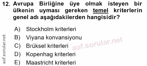 12. soru: Avrupa Birliğine üye olmak isteyen bir ülkenin uyması gereken temel kriterlerin genel adı aşağıdakilerden hangisidir?…