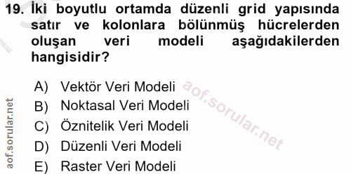 19. soru: İki boyutlu ortamda düzenli grid yapısında satır ve kolonlara bölünmüş hücrelerden oluşan veri modeli aşağıdakilerden…
