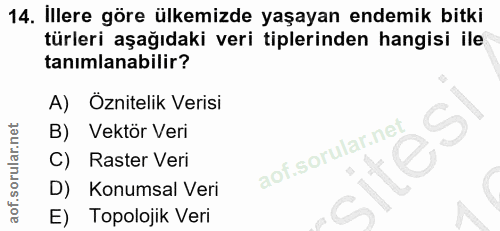 14. soru: İllere göre ülkemizde yaşayan endemik bitki türleri aşağıdaki veri tiplerinden hangisi ile tanımlanabilir? A) Öznitel…
