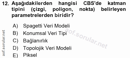 12. soru: Aşağıdakilerden hangisi CBS'de katman tipini (çizgi, poligon, nokta) belirleyen parametrelerden biridir? A) Spagetti…