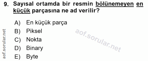9. soru: Sayısal ortamda bir resmin bölünemeyen en küçük parçasına ne ad verilir? A) En küçük parça B) Piksel C) Nokta D) Bina…