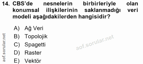 14. soru: CBS'de nesnelerin birbirleriyle olan konumsal ilişkilerinin saklanmadığı veri modeli aşağıdakilerden hangisidir? A) A…